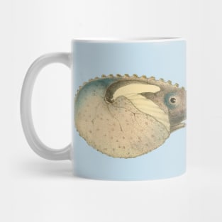 Argonaut Vintage Scientific Illustration Mug